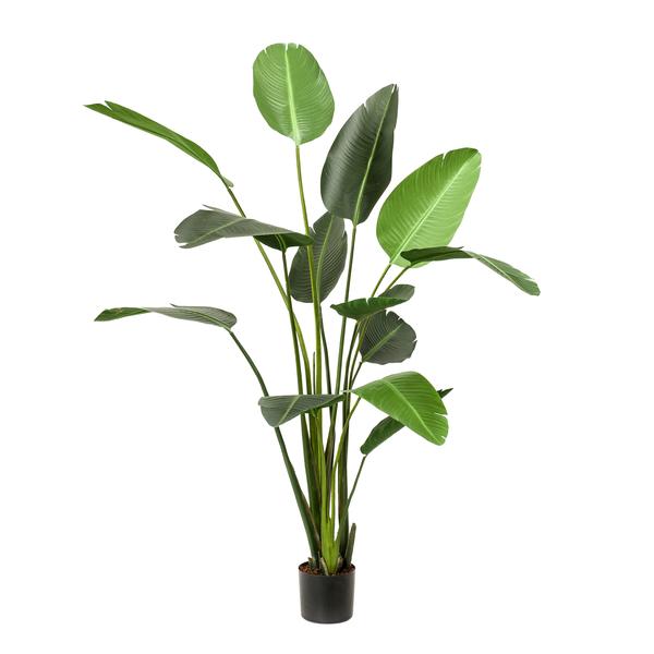 Kunstplant - Strelitzia Nicolai - Paradijsvogelbloem - 230cm