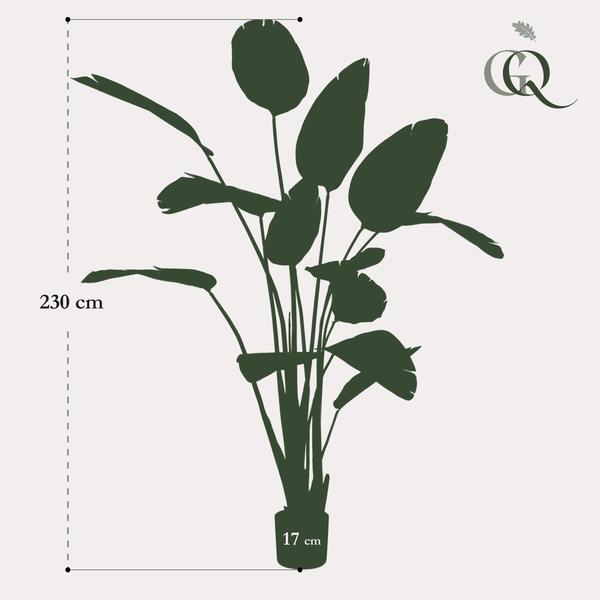 Kunstplant - Strelitzia Nicolai - Paradijsvogelbloem - 230cm
