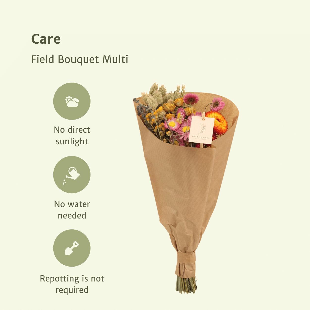 Bouquet Multi - Droogboeket