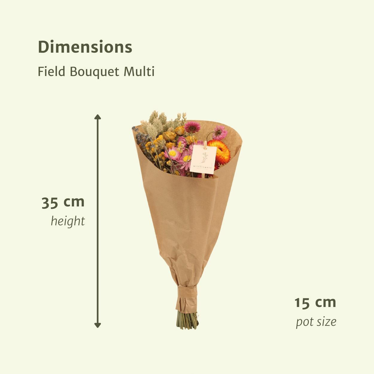 Bouquet Multi - Droogboeket