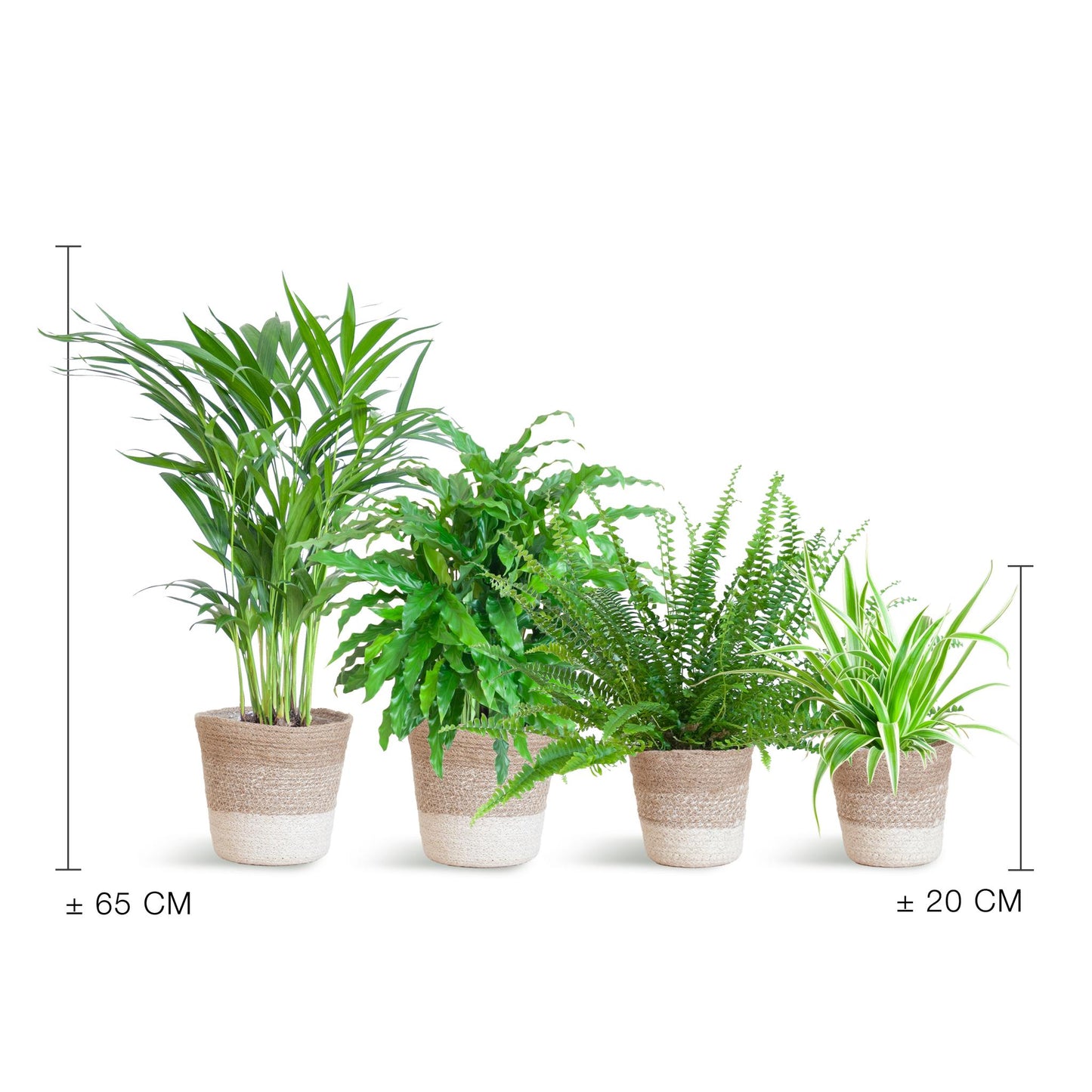 Diervriendelijke plantenset