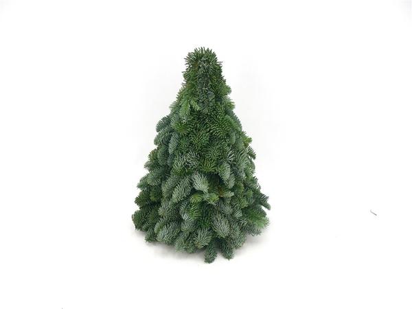Nobilis Kerstboom