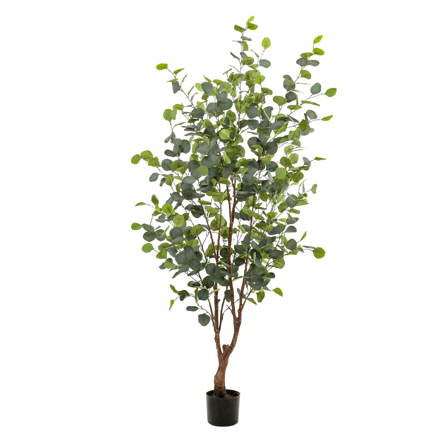 Kunstplant - Eucalyptus - Blauwe Gomboom  - 140 cm