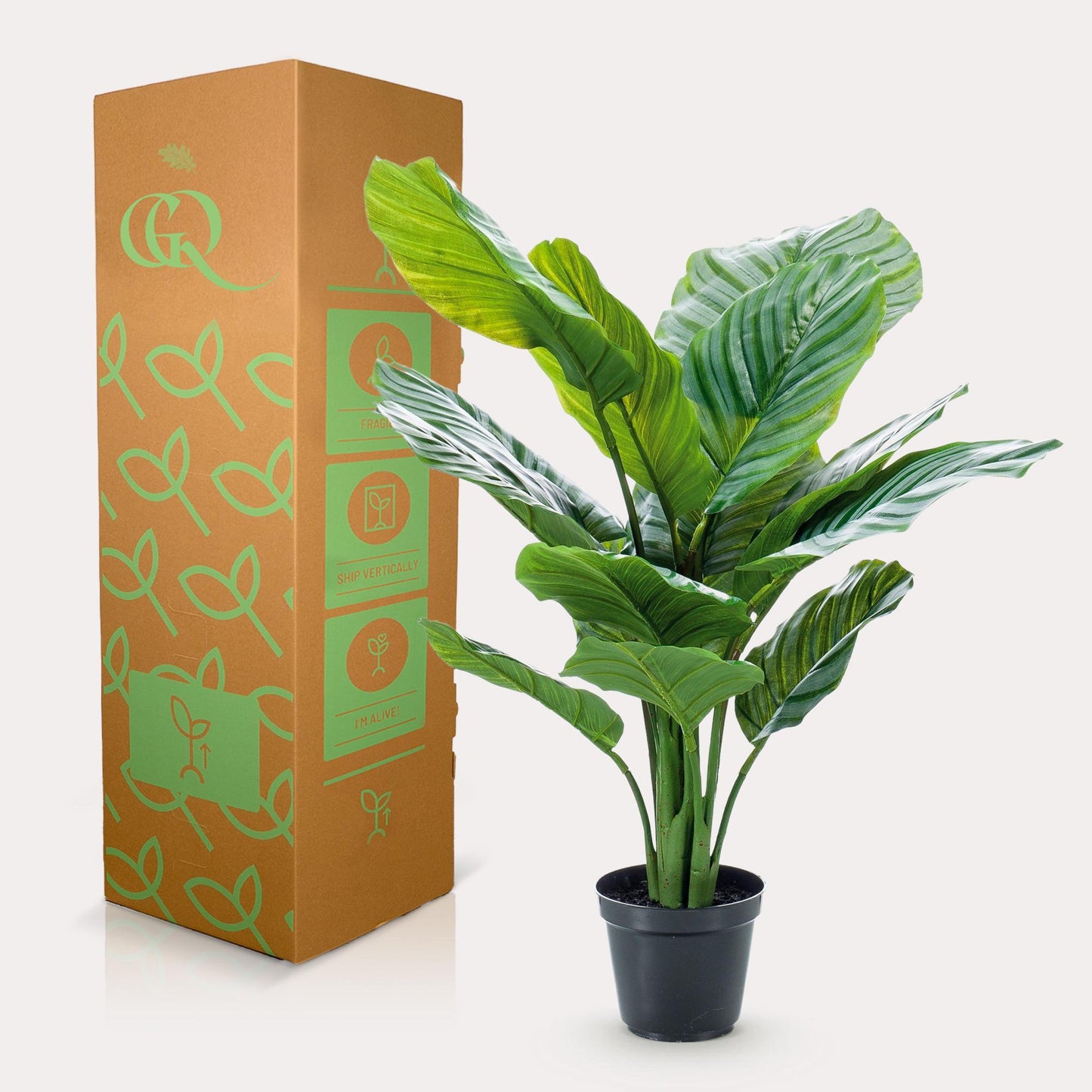 Kunstplant - Calathea Orbifolia - Schaduwplant - 60 cm